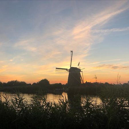 Chalet Aan De Rotte Rotterdam Dış mekan fotoğraf