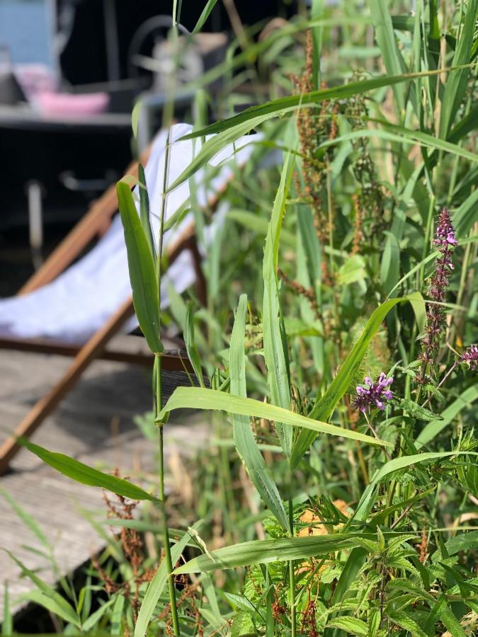 Chalet Aan De Rotte Rotterdam Dış mekan fotoğraf